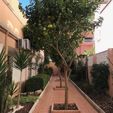 Apartamento Ole Playa